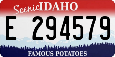 ID license plate E294579