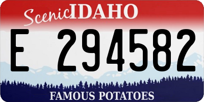 ID license plate E294582
