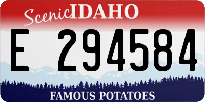ID license plate E294584