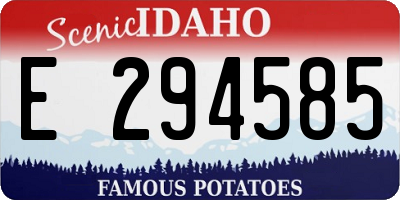 ID license plate E294585