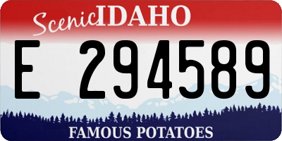 ID license plate E294589