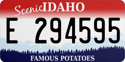 ID license plate E294595