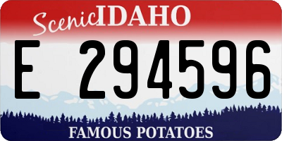 ID license plate E294596