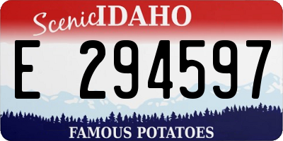 ID license plate E294597
