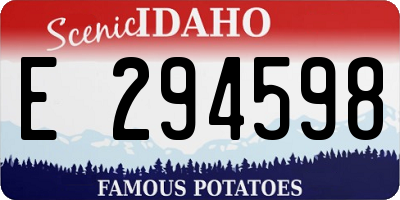 ID license plate E294598