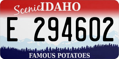 ID license plate E294602