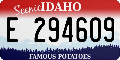 ID license plate E294609