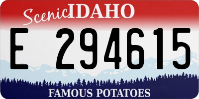 ID license plate E294615