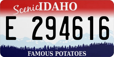 ID license plate E294616