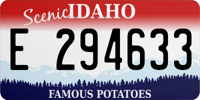 ID license plate E294633