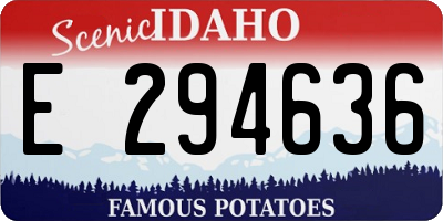 ID license plate E294636