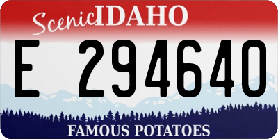 ID license plate E294640