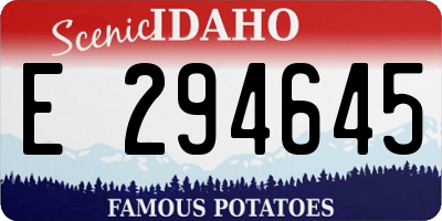 ID license plate E294645