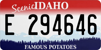 ID license plate E294646