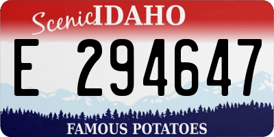 ID license plate E294647