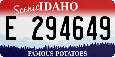 ID license plate E294649