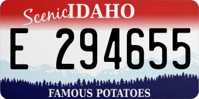 ID license plate E294655