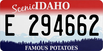 ID license plate E294662