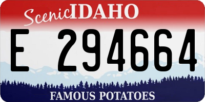 ID license plate E294664
