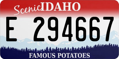 ID license plate E294667