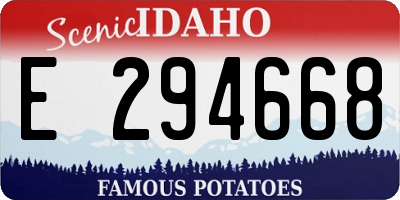 ID license plate E294668