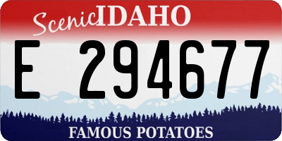 ID license plate E294677