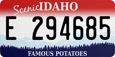 ID license plate E294685