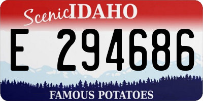 ID license plate E294686