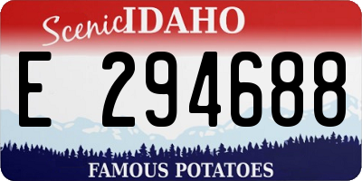 ID license plate E294688