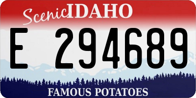 ID license plate E294689