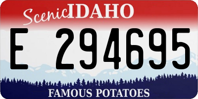 ID license plate E294695