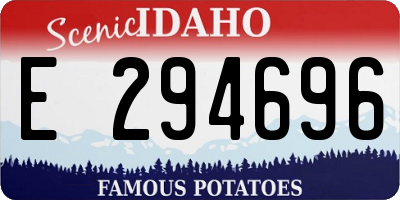 ID license plate E294696