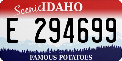 ID license plate E294699