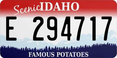 ID license plate E294717