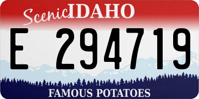 ID license plate E294719