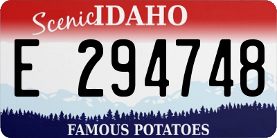 ID license plate E294748