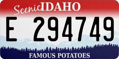 ID license plate E294749