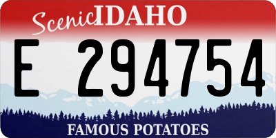 ID license plate E294754