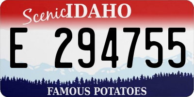 ID license plate E294755