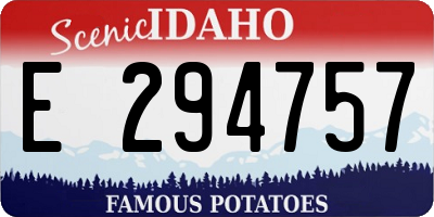 ID license plate E294757