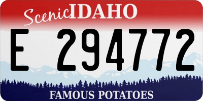 ID license plate E294772
