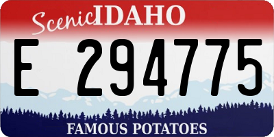 ID license plate E294775