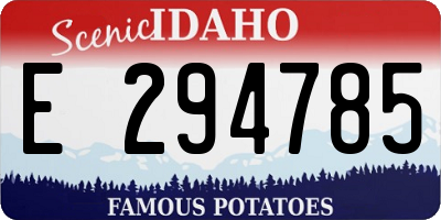 ID license plate E294785
