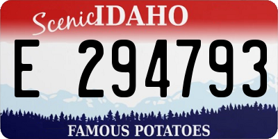 ID license plate E294793
