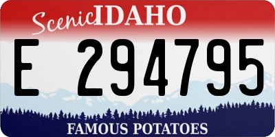 ID license plate E294795