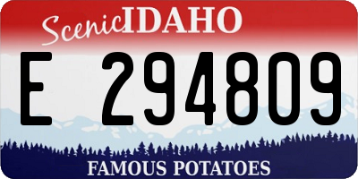 ID license plate E294809