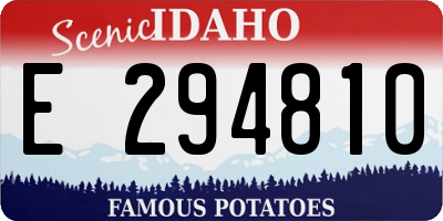 ID license plate E294810