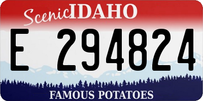 ID license plate E294824