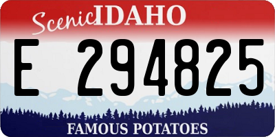 ID license plate E294825