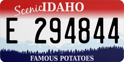 ID license plate E294844